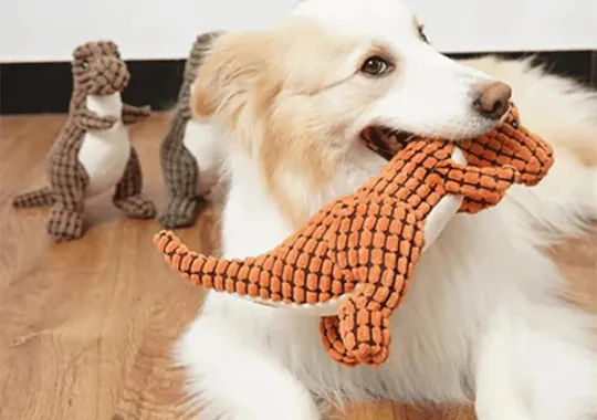 Plush Toys 